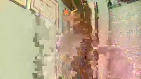 Snapshot of freddy3399 chatting on December 2024 02:44:02 AM freddy3399 online show from December 2024 02:44:02 AM