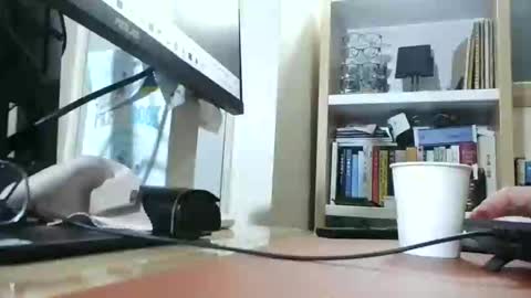 K-Dick online show from March 2025 11:06:02 AM