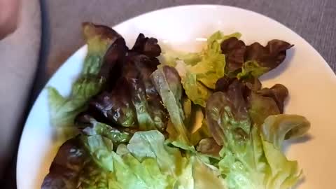 french_gym online show from May 2026 05:29:01 PM