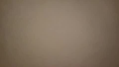 frenchsmoker29 online show from February 2025 04:05:01 PM