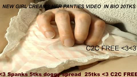 Meadow online show from April 2026 09:24:02 AM