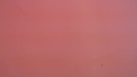 FREYJA LOREN online show from January 2025 11:16:02 PM