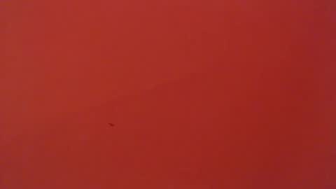 FREYJA LOREN online show from February 2025 05:14:01 AM