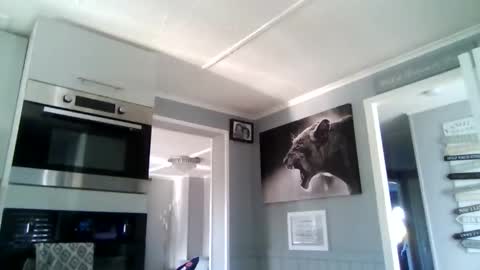 Snapshot of friskyneedsum chatting on December 2025 10:53:01 AM bob online show from December 2025 10:53:01 AM