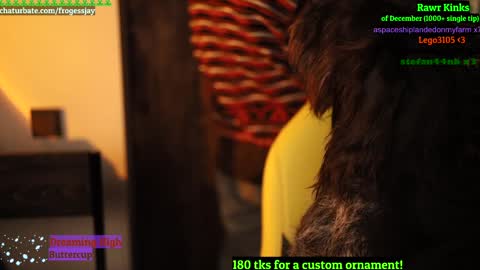 Snapshot of frogessjay chatting on December 2024 09:47:02 PM Jaywise Frogfoot online show from December 2024 09:47:02 PM