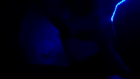 fu338208 online show from October 2025 06:52:02 AM