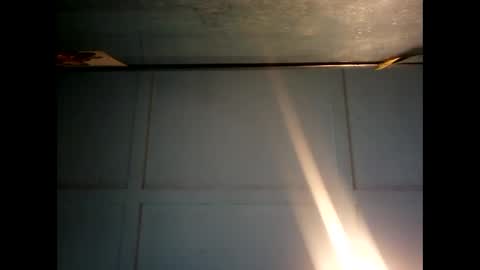 Snapshot of fucmebudoo chatting on December 2024 11:24:01 PM Warwick online show from December 2024 11:24:01 PM