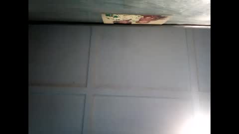 Snapshot of fucmebudoo chatting on December 2024 07:31:01 AM Warwick online show from December 2024 07:31:01 AM