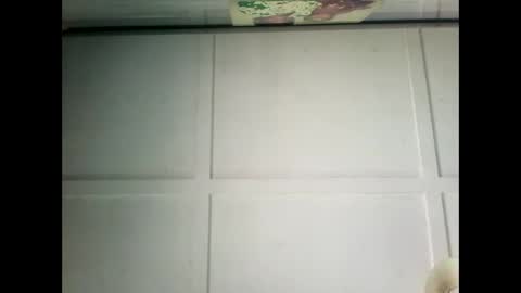 Snapshot of fucmebudoo chatting on December 2024 03:28:02 AM Warwick online show from December 2024 03:28:02 AM