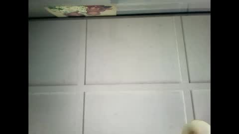 Snapshot of fucmebudoo chatting on December 2024 02:38:02 AM Warwick online show from December 2024 02:38:02 AM