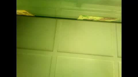 Snapshot of fucmebudoo chatting on January 2025 05:43:02 AM Warwick online show from January 2025 05:43:02 AM