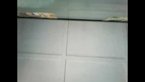 Snapshot of fucmebudoo chatting on January 2025 10:09:01 PM Warwick online show from January 2025 10:09:01 PM