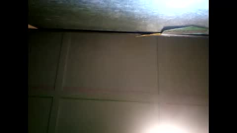 Snapshot of fucmebudoo chatting on January 2025 09:47:01 AM Warwick online show from January 2025 09:47:01 AM
