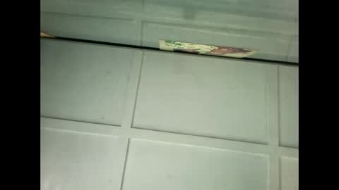 Snapshot of fucmebudoo chatting on January 2025 11:55:01 PM Warwick online show from January 2025 11:55:01 PM