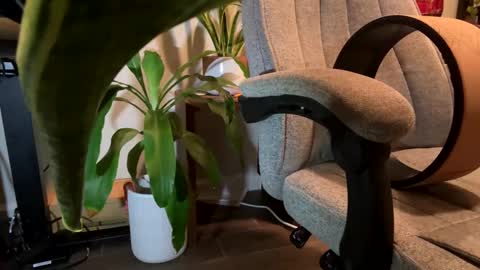 Snapshot of fuklicious chatting on January 2025 03:39:02 AM fuklicious online show from January 2025 03:39:02 AM