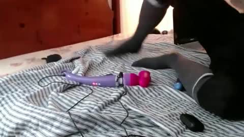 Funcock online show from December 2024 11:50:02 AM