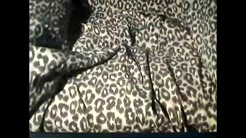 Snapshot of funcyman3 chatting on February 2025 06:04:02 PM funcyman3 online show from February 2025 06:04:02 PM