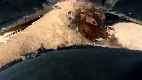 funtime741 online show from December 2024 02:16:01 AM