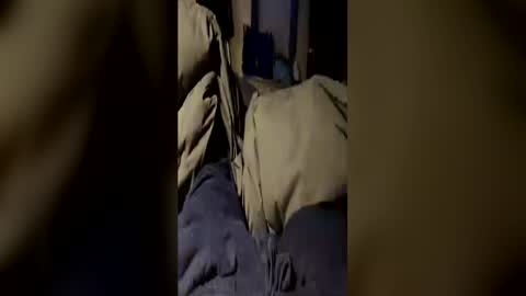 funtime741 online show from June 2026 04:21:02 AM