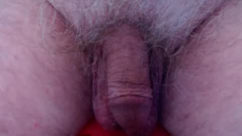 Mark online show from February 2025 08:09:02 AM