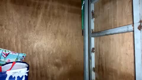 fvckingscarlet online show from November 2025 12:10:02 AM