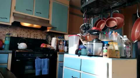 77daddy online show from March 2025 01:26:02 PM