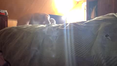 77daddy online show from February 2026 04:04:01 PM