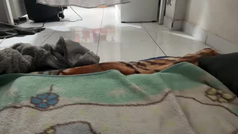 gab021593 online show from January 2026 01:57:02 PM