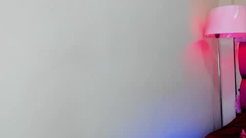 Snapshot of gabrielaa_01 chatting on February 2025 03:20:02 PM Gaby Im on vacation see you on November 25 online show from February 2025 03:20:02 PM