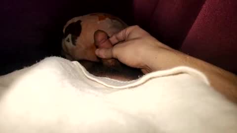 ganja28511 online show from January 2025 09:17:01 AM