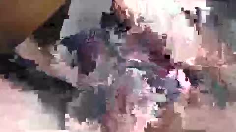 Gansozo online show from November 2025 11:26:01 PM