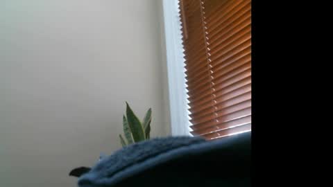 Lisa online show from December 2024 07:14:01 PM