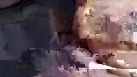 gatinhow82 online show from March 2026 02:50:01 AM