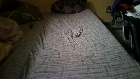 gazdadjoka online show from February 2025 02:23:01 PM