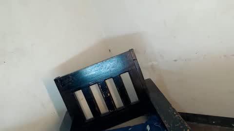 gelo online show from April 2026 12:36:01 PM