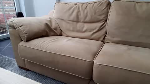 Gentle online show from December 2024 10:43:01 AM