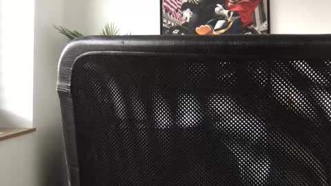 german3003 online show from October 2025 09:46:02 AM