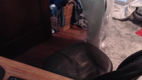 Snapshot of gethoggy chatting on January 2025 04:35:01 PM gethoggy online show from January 2025 04:35:01 PM