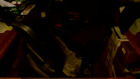 Snapshot of gfhdhr2 chatting on March 2025 09:18:01 AM gfhdhr2 online show from March 2025 09:18:01 AM