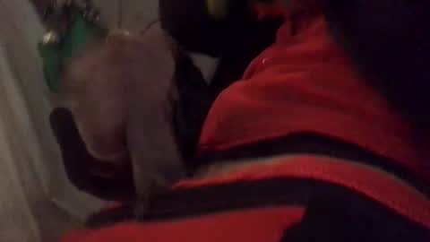 ghallofino26 online show from February 2026 02:49:01 AM