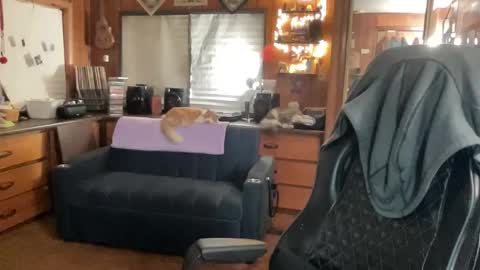 ghostboygbc online show from November 2025 04:57:01 AM