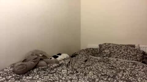 ghostpetal online show from October 2025 01:37:02 AM