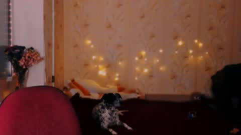 Snapshot of gigachocolad chatting on December 2024 11:37:01 PM Emm online show from December 2024 11:37:01 PM