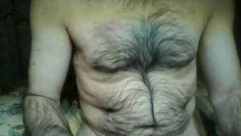 Snapshot of gigigegio chatting on January 2025 12:11:01 AM gigigegio sky online show from January 2025 12:11:01 AM