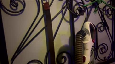 gingerbabyk online show from May 2026 04:53:02 AM