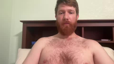 gingermania10 online show from December 2024 06:39:01 PM