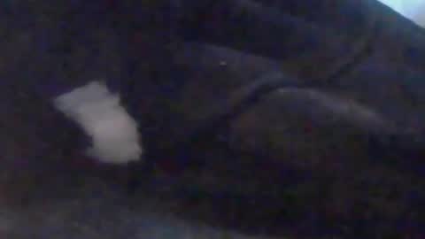 lovegirlscallme online show from October 2025 03:44:02 PM