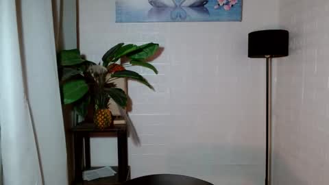 Callmenor online show from January 2025 04:18:02 AM