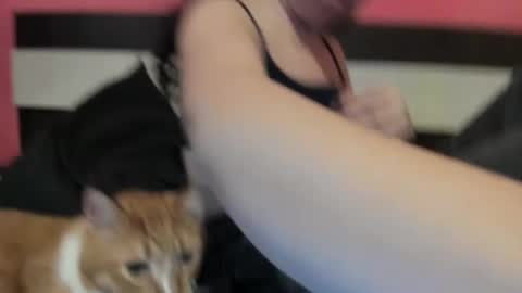 Gisella online show from January 2025 02:34:01 PM