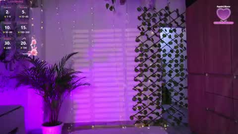 GISEL online show from July 2026 08:48:01 PM
